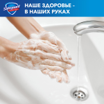 e1b2d6e5-ba0d-457f-846b-43322111d4b8.webp