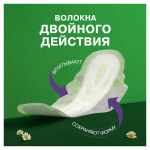 d9269bbc-3203-464e-bfae-ecbcf849646f.webp