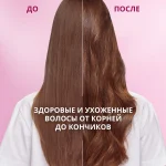 8d62ad2a-94f6-4ff2-a252-408f83b1e44d